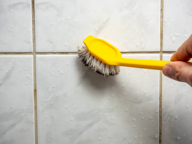 Best Mold Remediation  in Terrebonne, OR