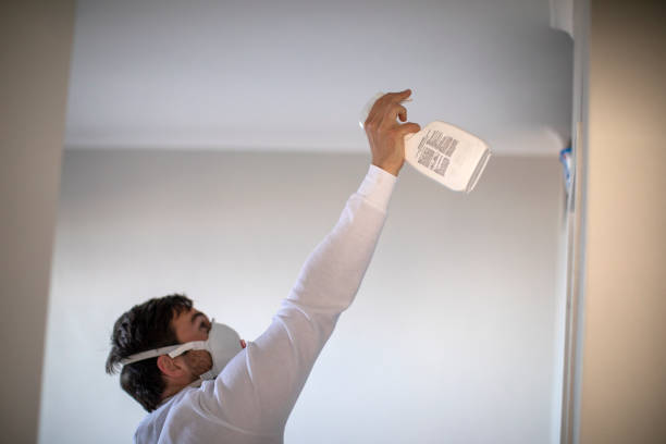 Best Emergency Mold Removal  in Terrebonne, OR