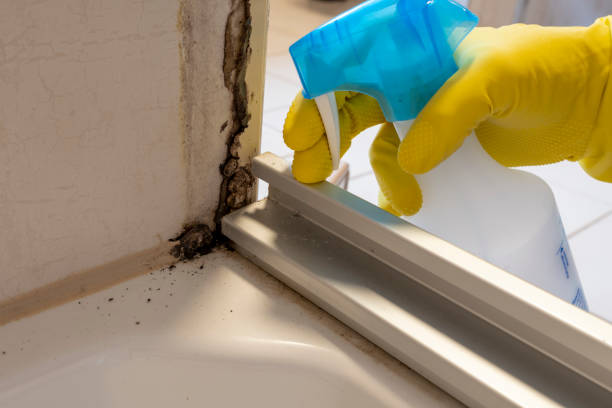 Best Attic Mold Removal  in Terrebonne, OR