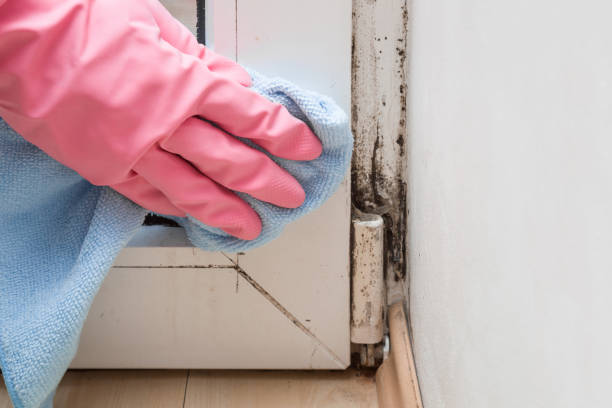 Best Mold Testing  in Terrebonne, OR
